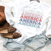 Retro America Sweatshirt