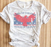 Land Of The Free Because Of The Brave Eagle Shirt